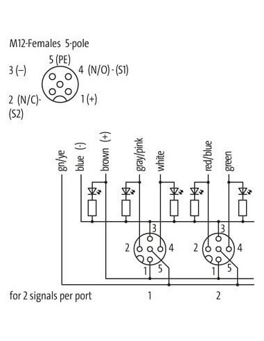 Exact12, 4xM12, 5-biegunowy, kabel formowany 8099-84510-4480500 | Elektronika | Eshop Dopak | Wszystko dla Przemysłu