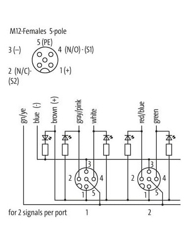 Exact12, 8xM12, 5-biegunowy, kabel formowany 8000-88511-3981000 | Elektronika | Eshop Dopak | Wszystko dla Przemysłu