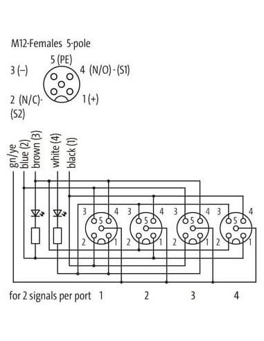 Exact12, 4xM12, 5-biegunowy, kabel formowany 8000-94510-9651500 | Elektronika | Eshop Dopak | Wszystko dla Przemysłu