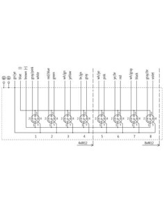MVP-Metal, 4xM12, 5-biegunowy, kabel wstępnie okablowany 8000-54512-4480500 | Elektronika | Eshop Dopak | Wszystko dla Przemysłu 2