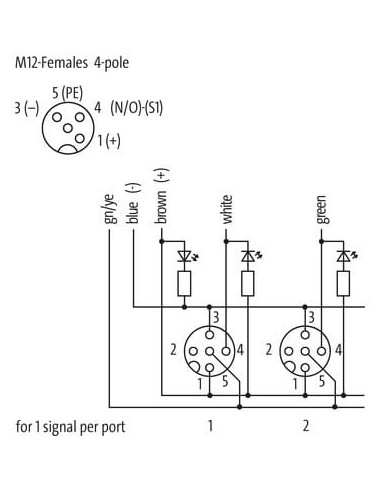 Exact12, 4xM12, 4-biegunowy, kabel formowany 8000-84411-3331000 | Elektronika | Eshop Dopak | Wszystko dla Przemysłu