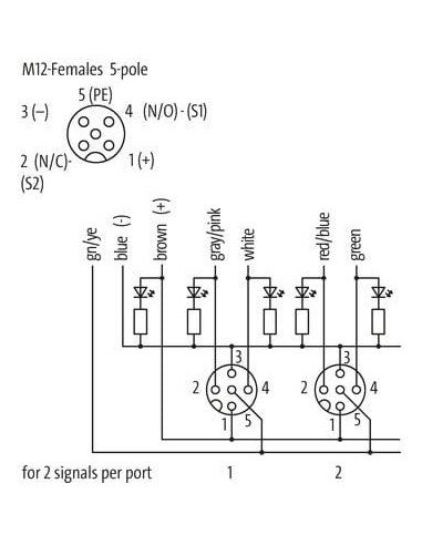Exact12, 8xM12, 5-biegunowy, kabel formowany 8000-98510-3981000 | Elektronika | Eshop Dopak | Wszystko dla Przemysłu