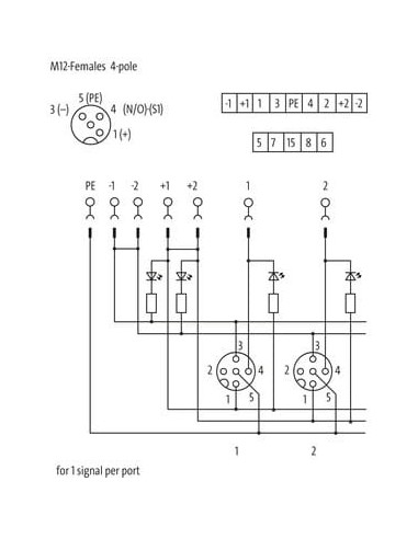 Exact12, 8xM12, 4-biegunowy, kapturek, zapasowy. końcówka śrubowa. 8000-88451-0000000 | Elektronika | Eshop Dopak | Wszystko dla