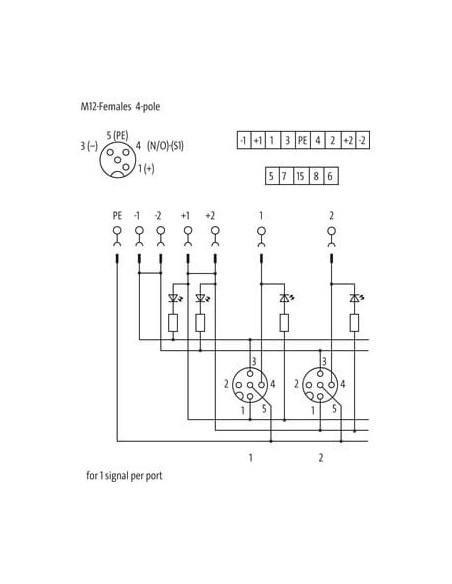 Exact12, 8xM12, 4-biegunowy, kapturek, zapasowy. końcówka śrubowa. 8000-88451-0000000 | Elektronika | Eshop Dopak | Wszystko dla