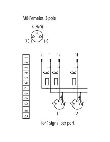 Moduł to Exact8, 6xM8, 3-biegunowy, o numerze 8000-86000-0000000 | Elektronika | Eshop Dopak | Wszystko dla Przemysłu