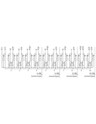 Exact8, 8xM8, 4-biegunowy, kabel formowany 8000-88111-3960500 | Elektronika | Eshop Dopak | Wszystko dla Przemysłu