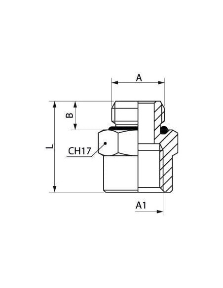 Redukcja nyplowa gwintowana z oringiem NBR M5 GZ - G 1/8 GW, mosiądz niklowany | Hydraulika | Eshop Dopak | Wszystko dla Przemys