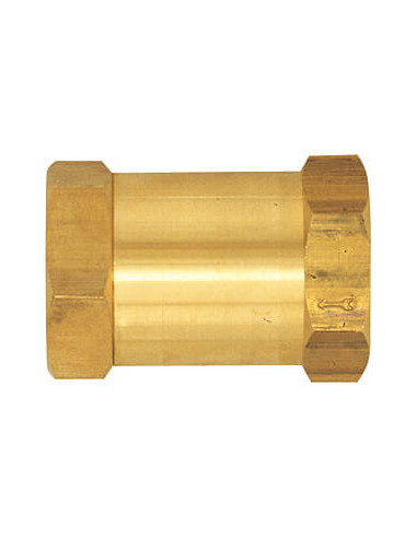 Zawór zwrotny prosty G 1/4  GW, PN16 mosiądz, uszczelnienie VITON | Hydraulika | Eshop Dopak | Wszystko dla Przemysłu