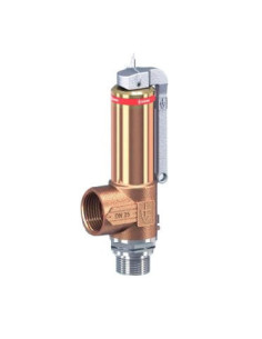 Zawór bezpieczeństwa DN8 kriogeniczny G1/4-G3/8 10 bar | Pneumatyka | Eshop Dopak | Wszystko dla Przemysłu