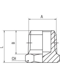 Korek mosiądz niklowany R1/8z, MN | Hydraulika | Eshop Dopak | Wszystko dla Przemysłu 2