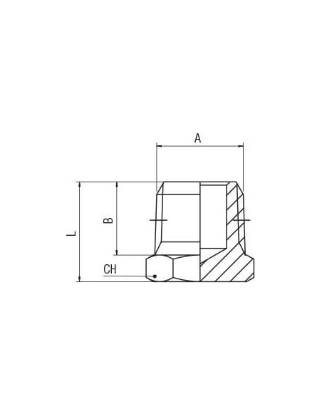 Korek mosiądz niklowany R1/8z, MN | Hydraulika | Eshop Dopak | Wszystko dla Przemysłu