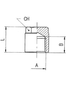 Korek gwintowany z nakrętką G 1/4 GW, mosiądz niklowany | Hydraulika | Eshop Dopak | Wszystko dla Przemysłu