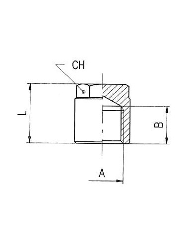 Korek gwintowany z nakrętką G 1/8 GW, mosiądz niklowany | Hydraulika | Eshop Dopak | Wszystko dla Przemysłu