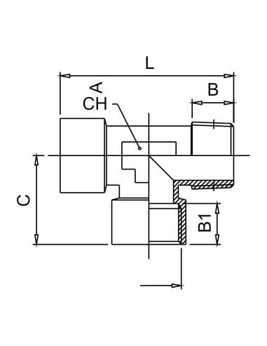 Trójnik gwintowany typu T WWZ 2 x G 1/8 GW - G 1/8 GZ, mosiądz niklowany | Hydraulika | Eshop Dopak | Wszystko dla Przemysłu