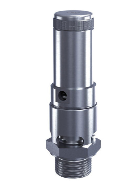 Zawór bezpieczeństwa DN25 G 1",Potw  34 bar,s.nierdz | Pneumatyka | Eshop Dopak | Wszystko dla Przemysłu