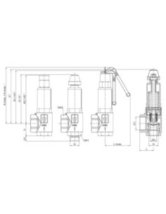Kątowy zawór bezp. do pary DN32 G11/4-G2 Potw8,0bar | Pneumatyka | Eshop Dopak | Wszystko dla Przemysłu 2