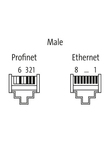 Wtyczka Push Pull RJ45 męska 8-polowa 7000-99591-0000000 | Przewody i Złącza | Eshop Dopak | Wszystko dla Przemysłu