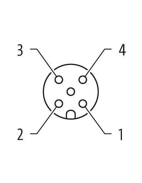 Konektor M12 żeński, prosty z wolnym kablem 7000-12221-6141000 | Przewody i Złącza | Eshop Dopak | Wszystko dla Przemysłu