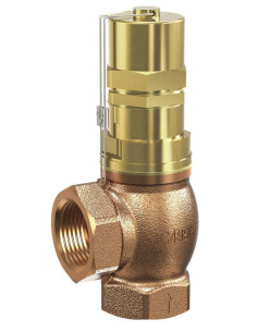 Kątowy zawór upustowy do pow. brąz G11/4" Reg. 0,2-0,8 bar | Pneumatyka | Eshop Dopak | Wszystko dla Przemysłu