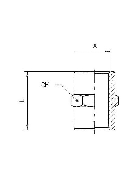 Mufa nierdzewna gwintowana G 1/8 GW, stal 316L | Hydraulika | Eshop Dopak | Wszystko dla Przemysłu