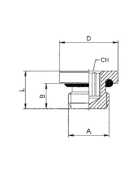 Korek gwintowany z oringiem  G 1/2 GZ pod imbus, stal 316L | Hydraulika | Eshop Dopak | Wszystko dla Przemysłu