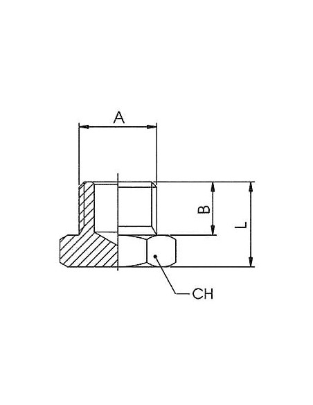 Korek gwintowany nierdzewna z nakrętką 6-kątną G 3/8 GZ, stal 316L | Hydraulika | Eshop Dopak | Wszystko dla Przemysłu