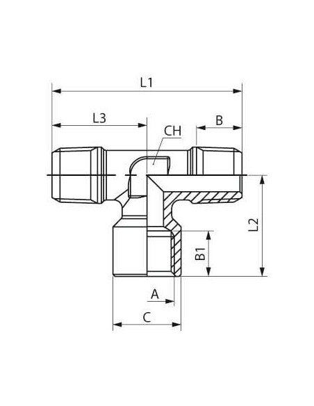 Trójnik gwintowany ZWZ G1/8 | Hydraulika | Eshop Dopak | Wszystko dla Przemysłu