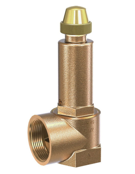 Zawór bezpieczeństwa kątowy do pary 2 bar DN40 G 1 1/2 GW, do 150°C, brąz | Pneumatyka | Eshop Dopak | Wszystko dla Przemysłu