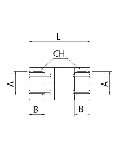 Zawór zwrotny G3/8 stal nierdzewna  FKM 0,2-25Bar | Hydraulika | Eshop Dopak | Wszystko dla Przemysłu
