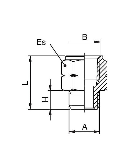 Adapter redukcyjny gwintowany NPTF 1/2 GW - G 1/2 GZ (BSP) | Hydraulika | Eshop Dopak | Wszystko dla Przemysłu