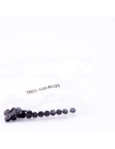Zestaw naprawczy, 1605-100-80/25, BOSCH | Części do Wtryskarek | Eshop Dopak