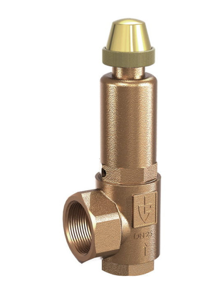 Zawór bezpieczeństwa kątowy do pary 20 bar DN15 G 1/2  GW - G 1 GW, do 225°C, brąz | Pneumatyka | Eshop Dopak | Wszystko dla Prz