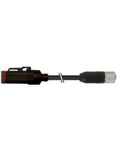 Korek zaworowy MDC06-4s / M12 żeński 0° Xtreme 7072-77301-5690700 | Przewody i Złącza | Eshop Dopak | Wszystko dla Przemysłu