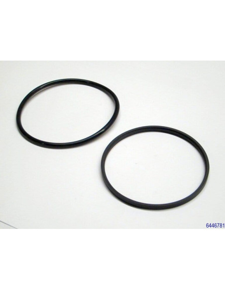 Uszczelka Omegat, OMS-MRPR, 6446781, Krauss Maffei | Uszczelnienia | Eshop Dopak