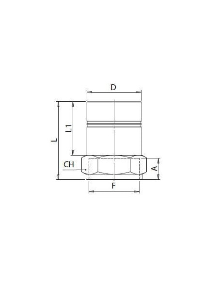Króciec gwintowany fi 63 z gwintem wewnętrznym G 2 GW, Infinity, aluminium | Pneumatyka | Eshop Dopak | Wszystko dla Przemysłu