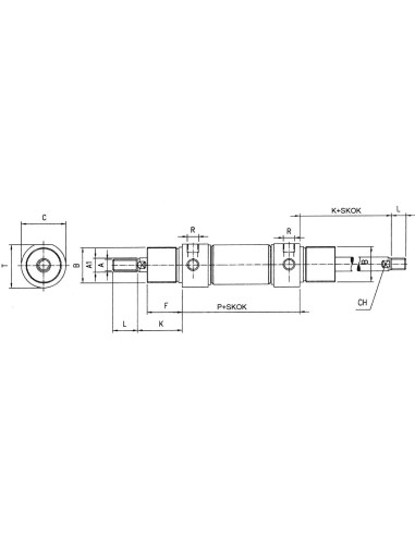 Siłownik pneumatyczny okrągły D50x300 z dwustronnym tłoczyskiem, amortyzacja pneumatyczna | Pneumatyka | Eshop Dopak | Wszystko 