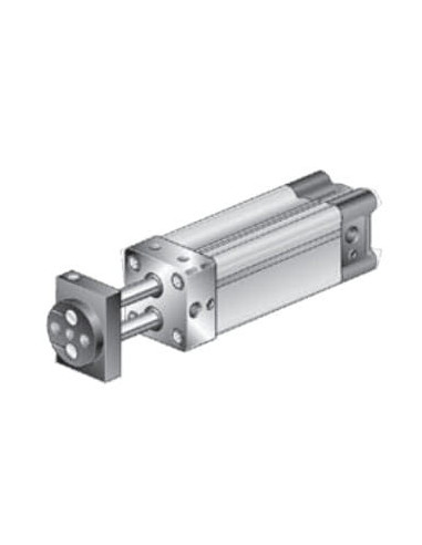 Siłownik dwutłoczyskowy D40x300 | Pneumatyka | Eshop Dopak | Wszystko dla Przemysłu