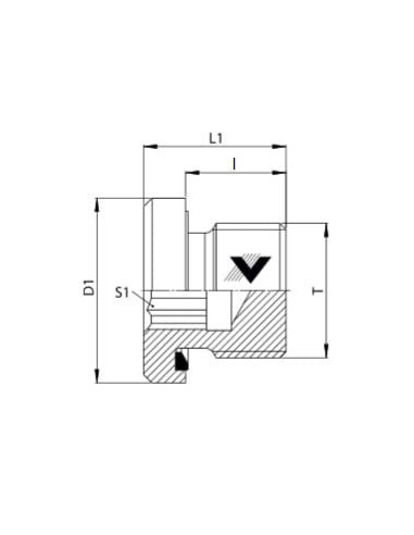 Korek hydrauliczny pod imbus GZ 1/2, ES, Viton | Hydraulika | Eshop Dopak | Wszystko dla Przemysłu