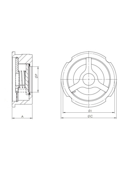 Zawór zwrotny międzykołnierzowy DN50 PN40, nierdzewny, stal 316, metal/metal | Hydraulika | Eshop Dopak | Wszystko dla Przemysłu