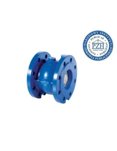 Zawór zwrotny kołnierzowy grzybkowy DN65 PN16, żeliwno GG25, grzyb nierdzewny, uszczelnienie NBR | Hydraulika | Eshop Dopak | Ws