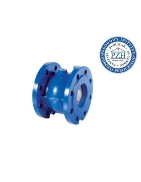 Zawór zwrotny kołnierzowy grzybkowy DN125 PN16, żeliwno GG25, grzyb nierdzewny, uszczelnienie NBR | Hydraulika | Eshop Dopak | W