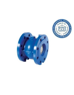 Zawór zwrotny kołnierzowy grzybkowy DN150 PN16, żeliwno GG25, grzyb nierdzewny, uszczelnienie NBR | Hydraulika | Eshop Dopak | W 2