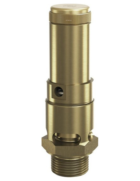 Zawór bezpieczeństwa do powietrza DN20 G 3/4 GZ, Potw  5,5 bar, mosiądz, FKM | Pneumatyka | Eshop Dopak | Wszystko dla Przemysłu