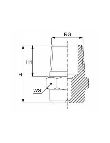 Dysza ze SS AISI303 standard G1/4", kąt 60°, 3,85 l/min | Narzędzia | Eshop Dopak | Wszystko dla Przemysłu.