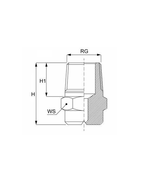 Dysza ze SS AISI303 standard G1/4", kąt 60°, 3,85 l/min | Narzędzia | Eshop Dopak | Wszystko dla Przemysłu.