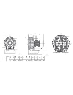 Dmuchawa bocznokanałowa 700 m3/h, 7,5 kW,  250 mbar/-250 mbar, 400V | Pneumatyka | Eshop Dopak | Wszystko dla Przemysłu 2