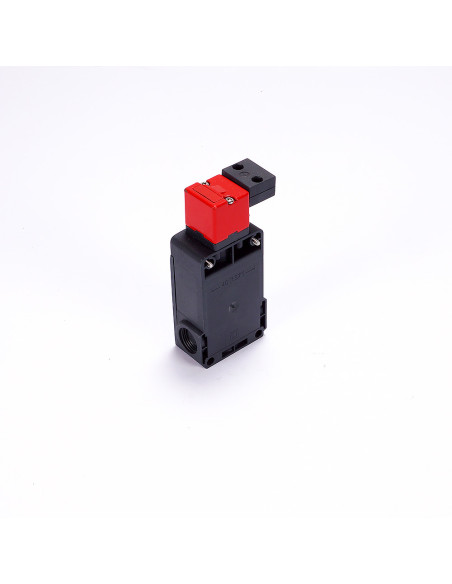 Wyłącznik bezpieczeństwa z ryglem, FS 2896D024-F2M2, Pizzato | Elektryka | Eshop Dopak | Wszystko dla Przemysłu
