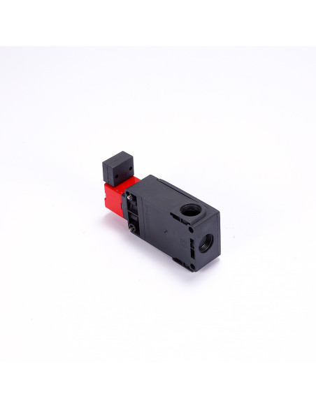 Wyłącznik bezpieczeństwa z ryglem, FS 2896D024-F2M2, Pizzato | Elektryka | Eshop Dopak | Wszystko dla Przemysłu
