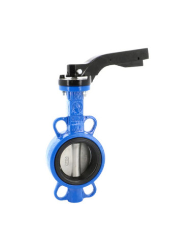 Zawór klapowy DN80 Econo GG25/CF8M/EPDM CH9 F05 1123080