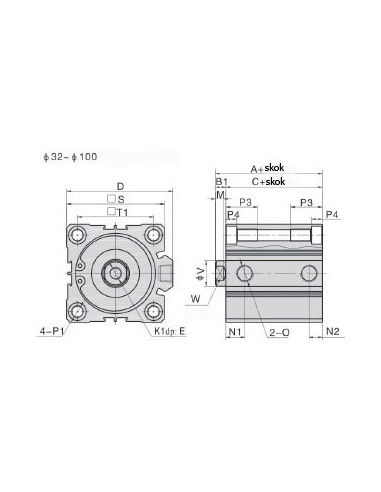 ACQ50X50SG Siłownik dociskowy D50x50 z magnesem DSK050.0050.00
